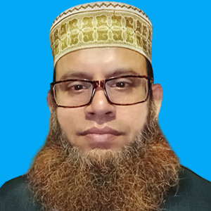 মোহাম্মদ হুমায়ূন কবির